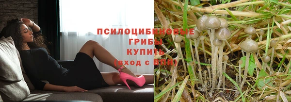 Альфа ПВП Волосово