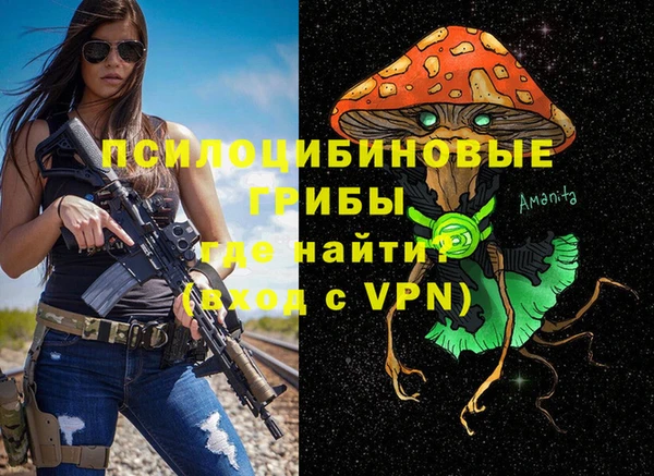 не бодяженный Тобольск